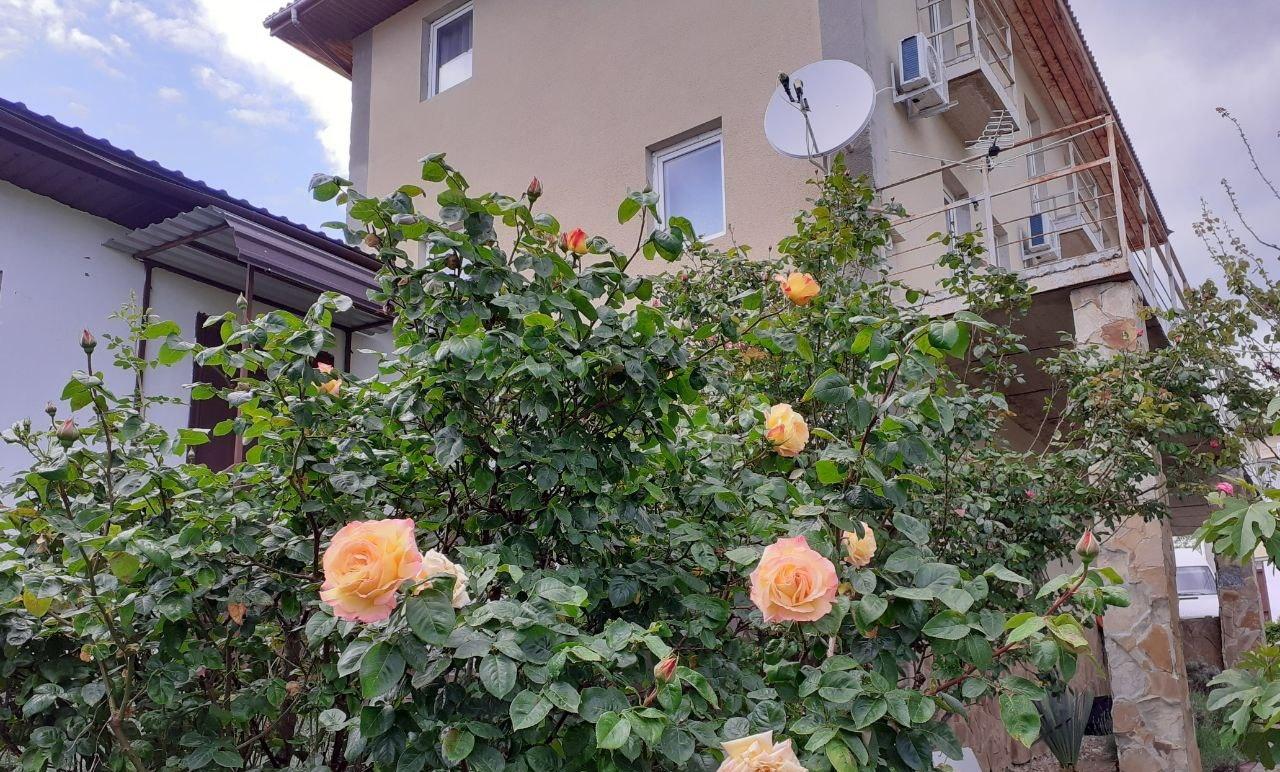 Отдых на море